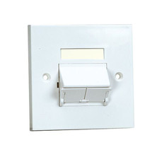 PANDUIT NETKEY SINGLE  GANG SLOPED FACE PLATE WITH LABEL  AND 1/2 SIZE SLOPED INSERT. ARCTIC WHITE